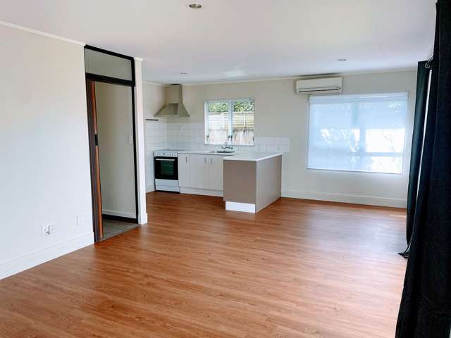 1/111 Auckland Road Greenmeadows_3