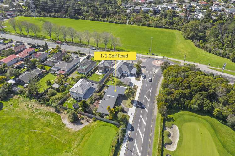 1/1 Golf Road New Lynn_15