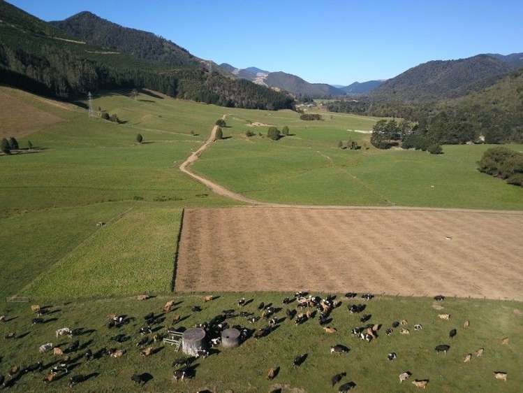 472 Maungatapu Road Rai Valley_6