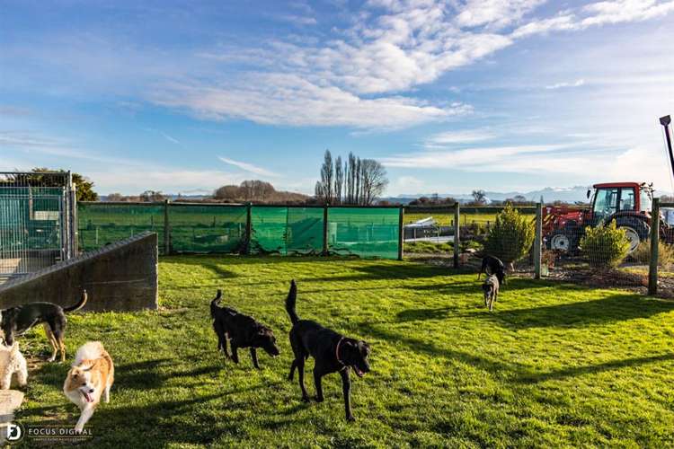 864 Lower Queen Street Richmond_17