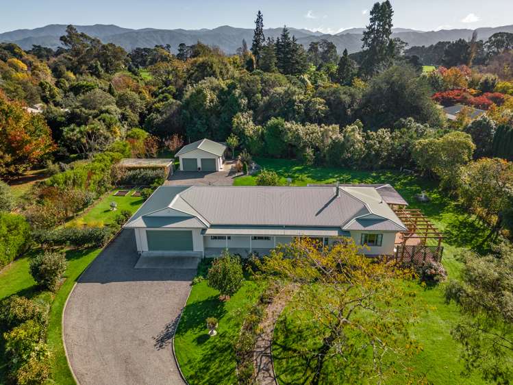 31 Udy Street Greytown_30