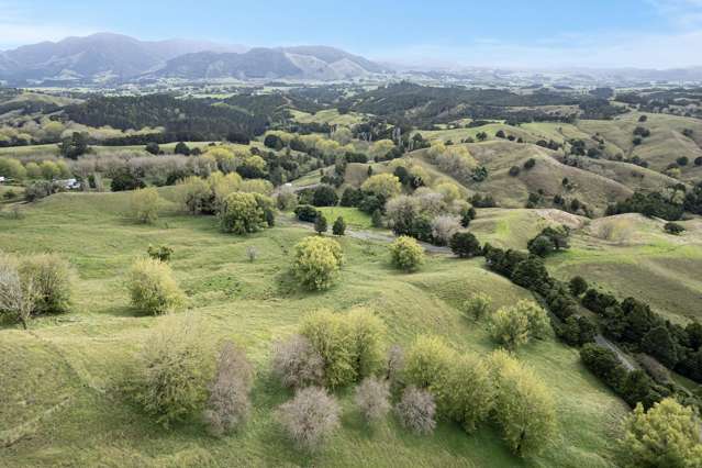 Kirikopuni Road Parakao_2