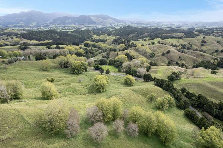 Kirikopuni Road Parakao_2