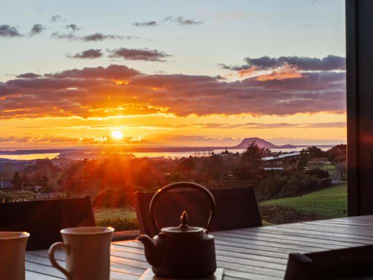 533 Wainui South Road Whakamarama_0