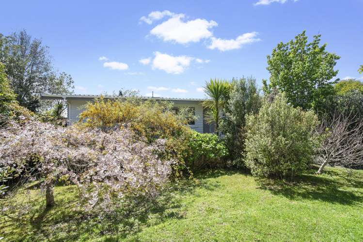 14 Riverview Road New Lynn_16