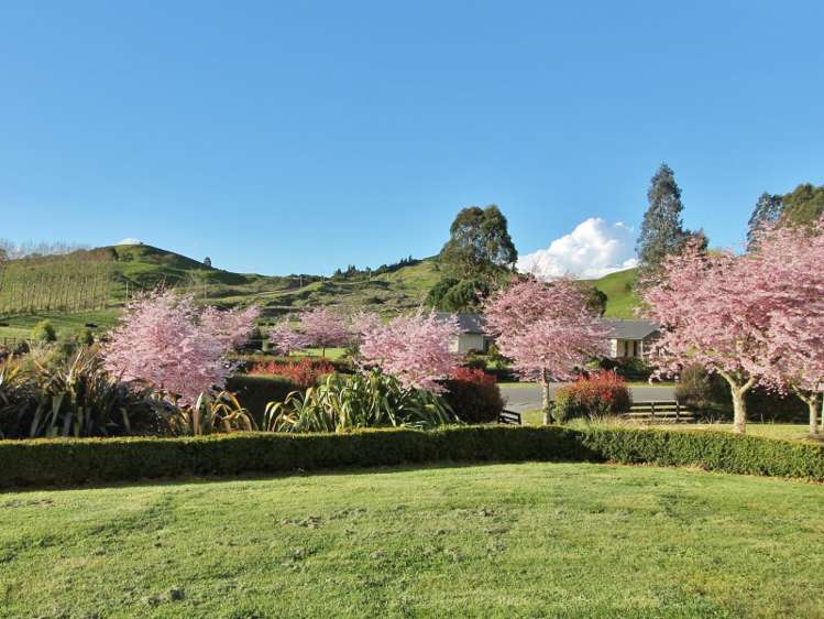 83 Dalmore Way Acacia Bay_13