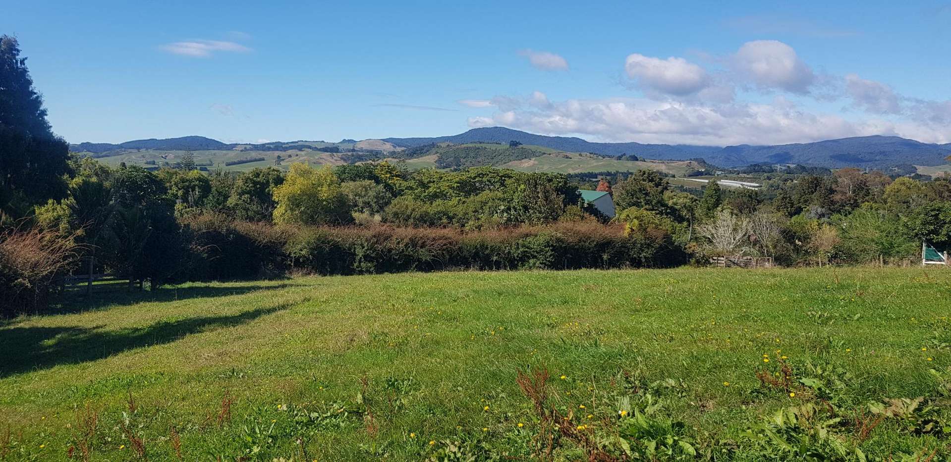 Poland Street Waikino_0