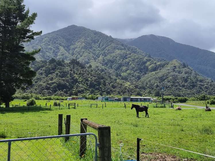 5 Prospector Place Barrytown_11