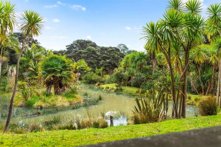 185 Red Hills Road Massey_18