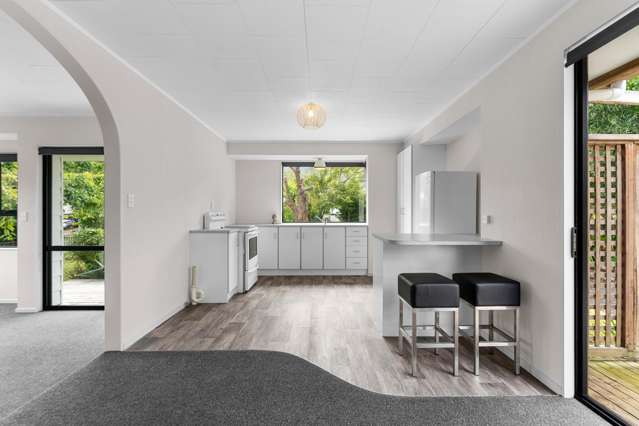103 Centennial Avenue Te Aroha_4
