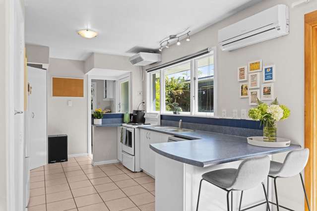 231 Greers Road Bryndwr_4