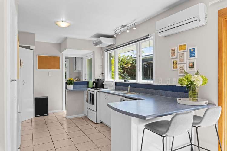 231 Greers Road Bryndwr_4