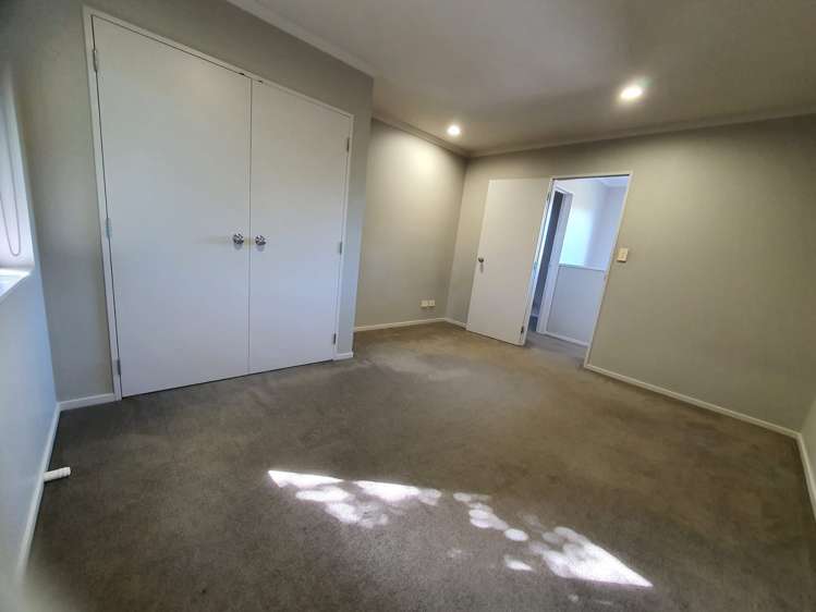 31a Tiverton Road Avondale_21