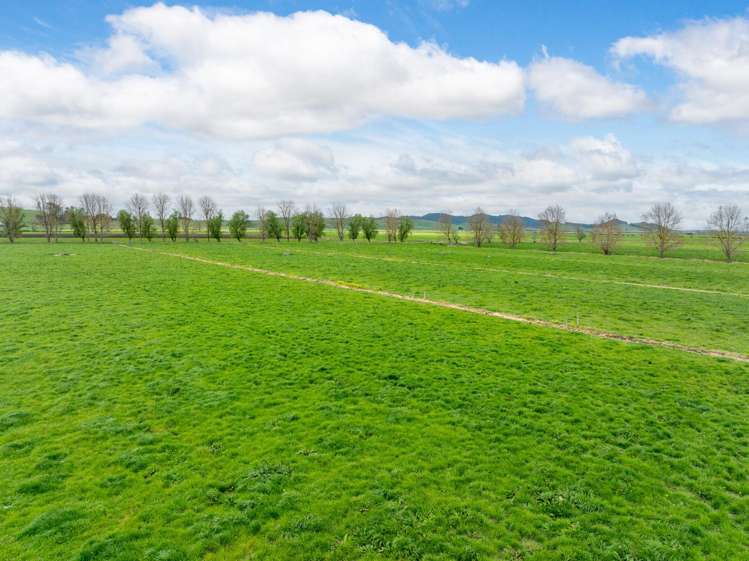 435 and 452 Tainui Road Morrinsville_26