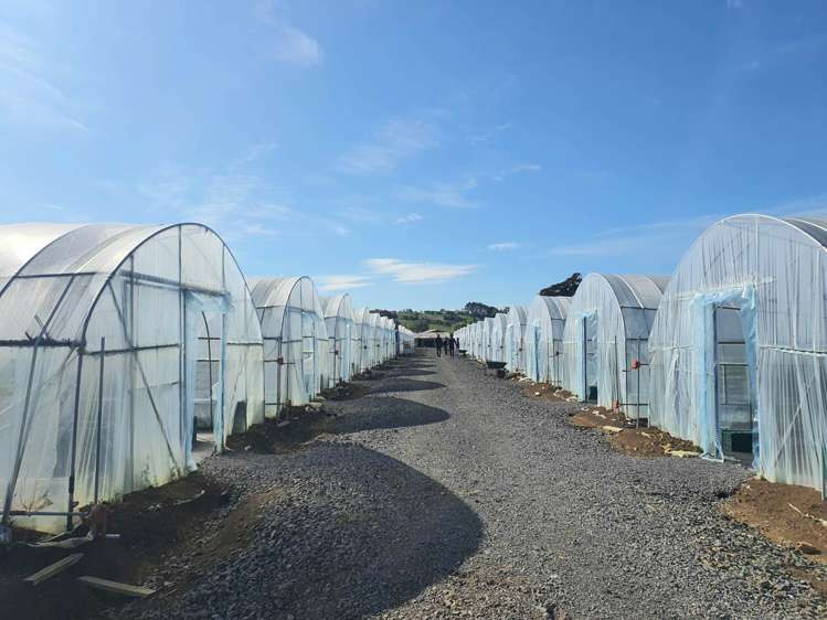 7 Ridge Road Tuakau_24