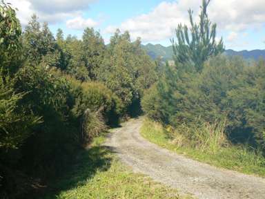 340 Duddy Road_2