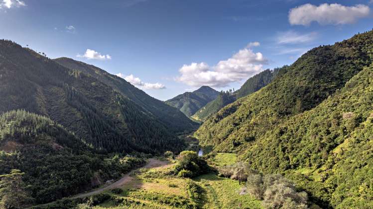 250 Pakihi Road Opotiki_52