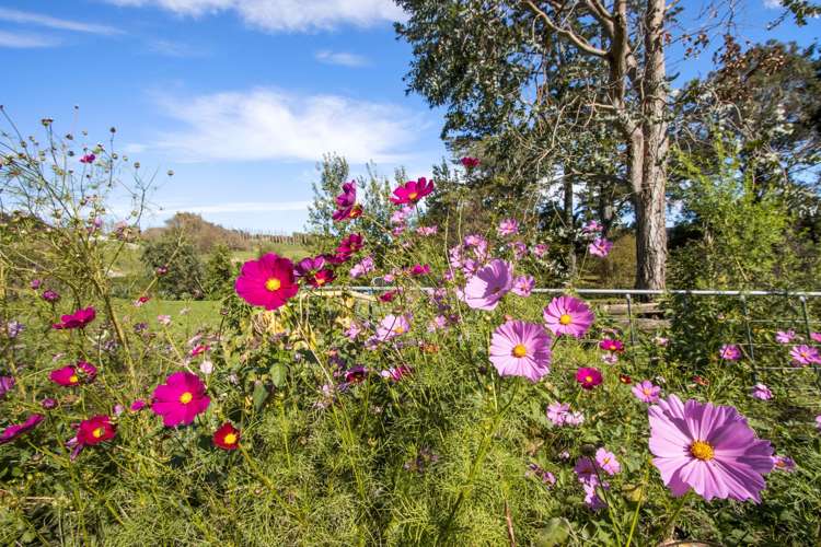 139b Golden Valley Road Waihi_9