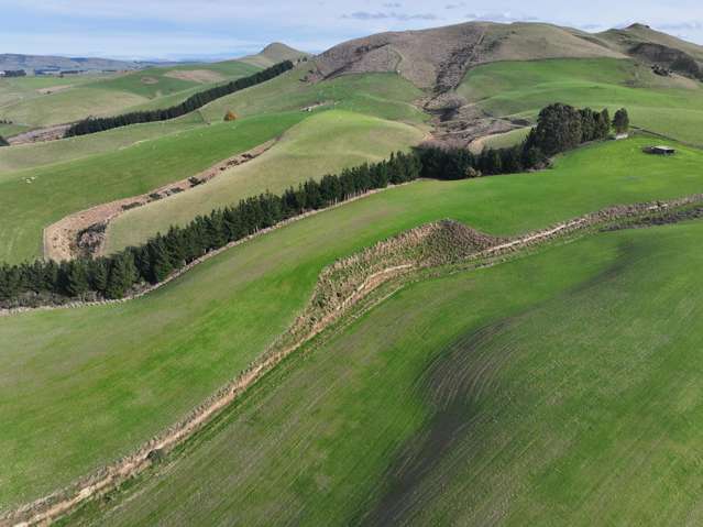 Bare Land West Otago Conical Hill
