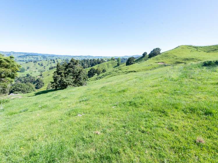 184 Lairdvale Road Taumarunui_26