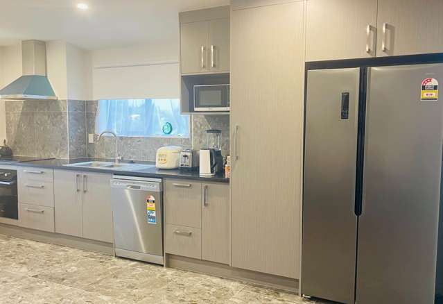 B/17 Tributary Parade Karaka_3