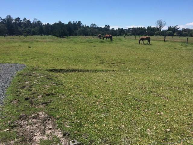 2 Lily Pond Lane Haruru_1