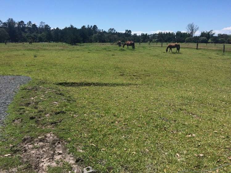 2 Lily Pond Lane Haruru_1