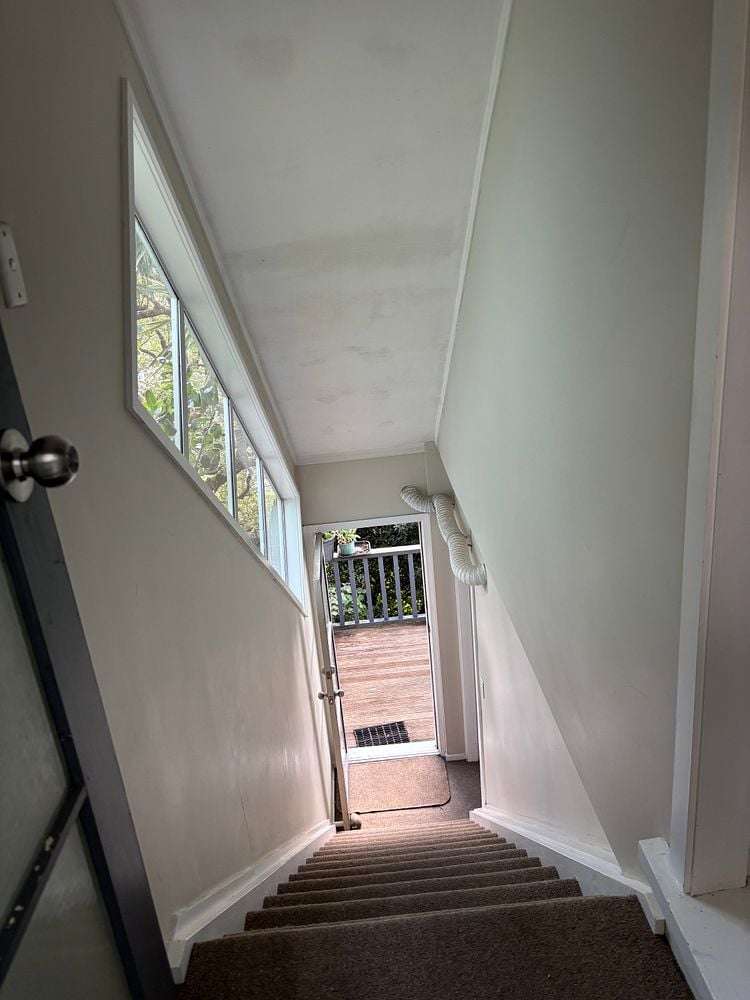 10 Laurent Place Kingston_13