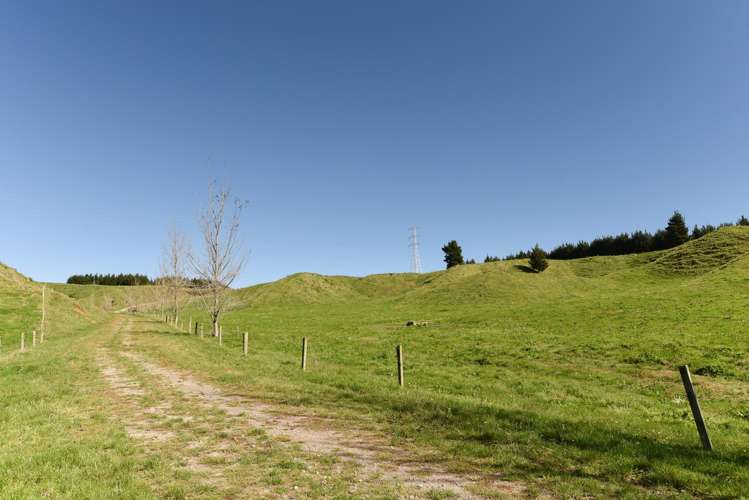 248 Lichenstein Road Okere Falls_23