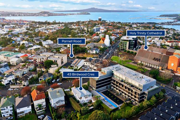 43 Birdwood Crescent Parnell_33