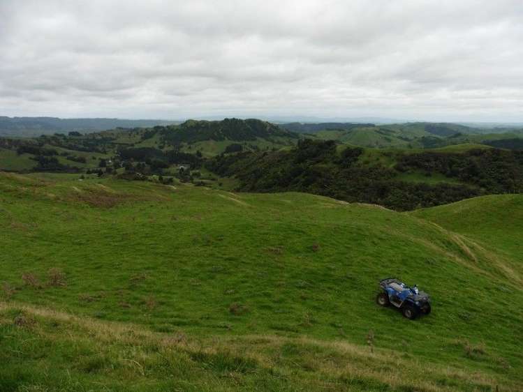 2837 State Highway 4 Aria_19