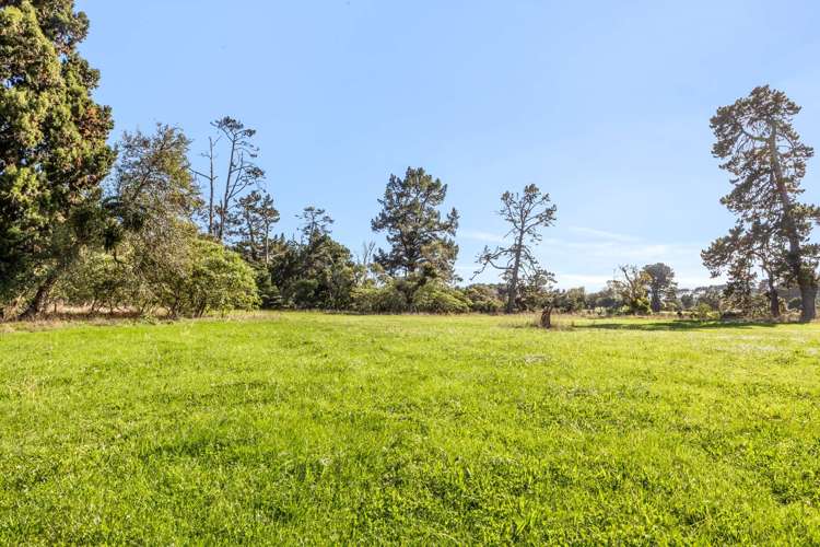 65 State Highway 3 Urenui_26