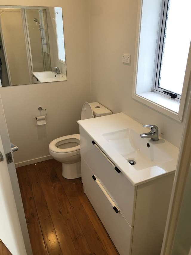 198 Manukau Road Epsom_4