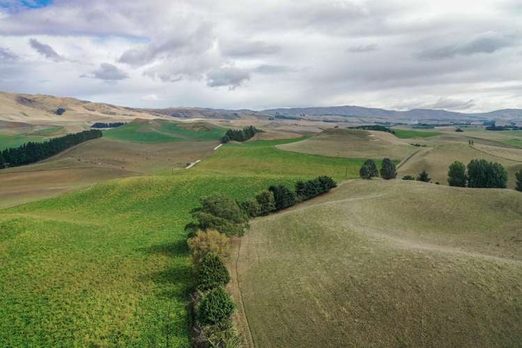 518 Elephant Hill Road Waimate_15