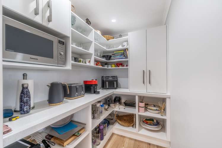 7 Majestic Chance Seaward Bush_5