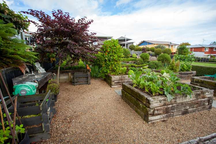 85 Kensington Street Putaruru_8