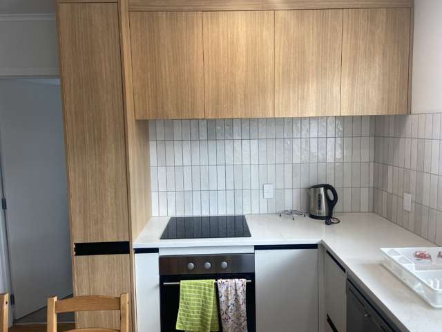 71B Ash Street 10016_3