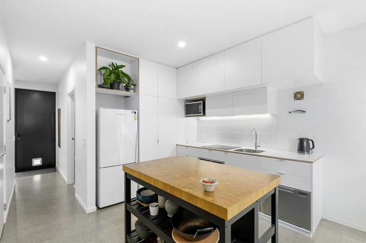 13 Te Ara O Paetutu_4