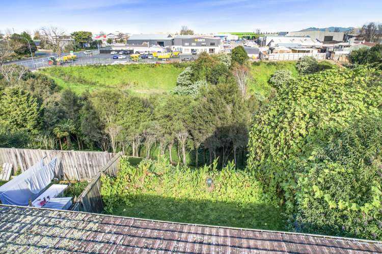 2/91 Rimu Street Maeroa_13