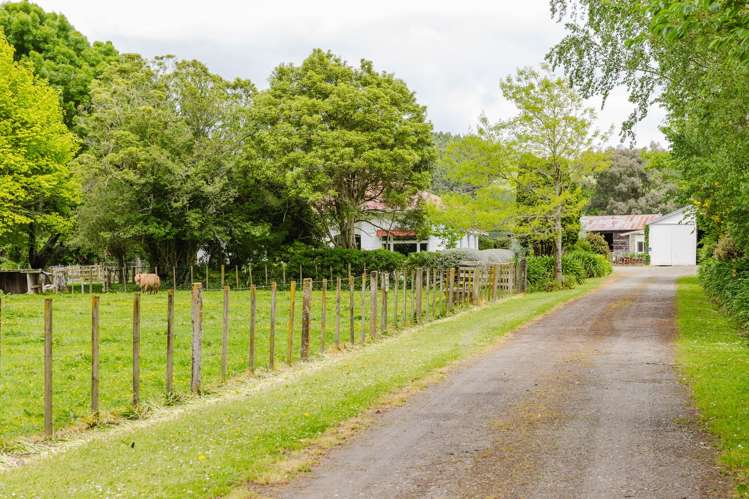 300 Hinemoa Valley Road Pahiatua_19