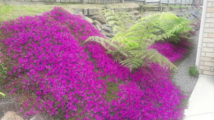 24 Weka Street Ahipara_13