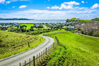 Mangatawhiri Road_1