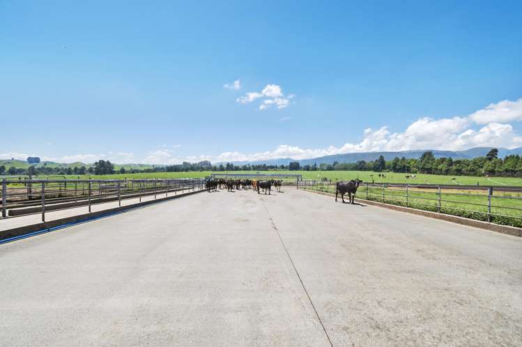 519 Main South Road Rangiwahia_13