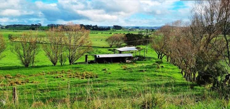 413 Waihue Road, Parore_2