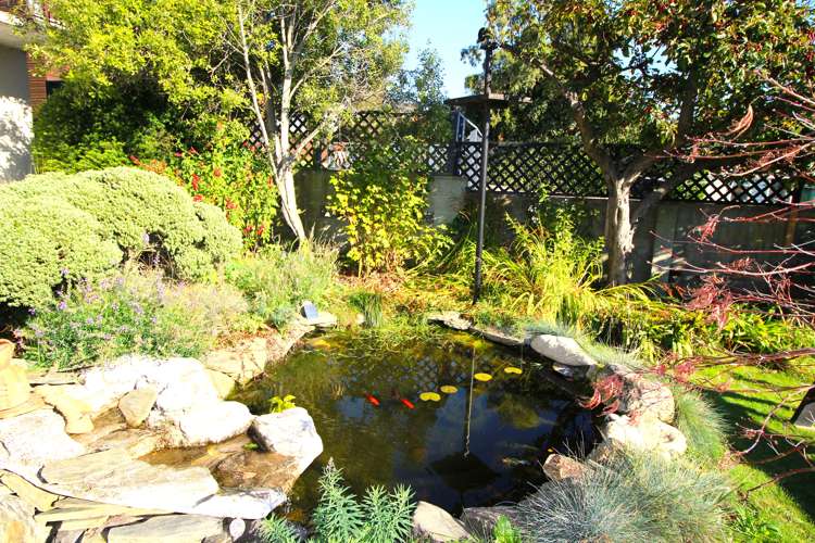 177 Eden Street Oamaru_19