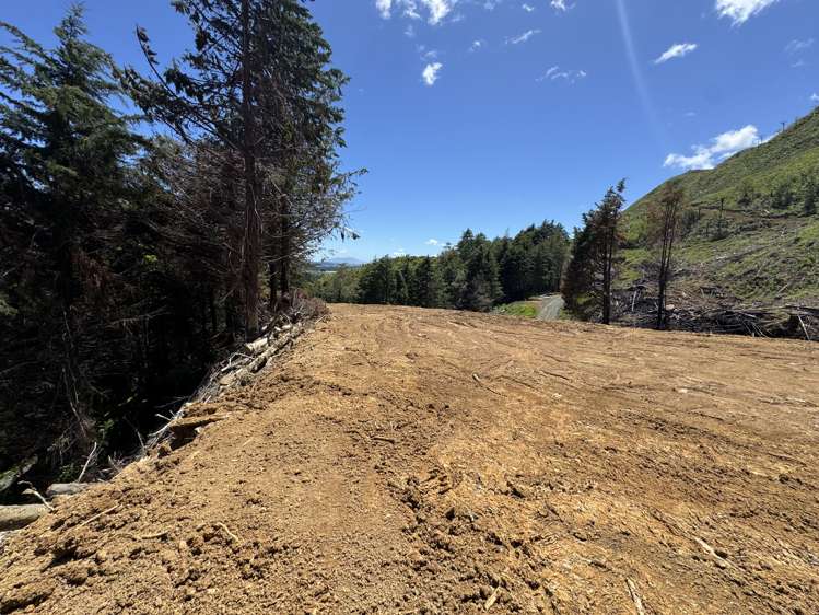 Lot 3 Brown Road Kawhia_9