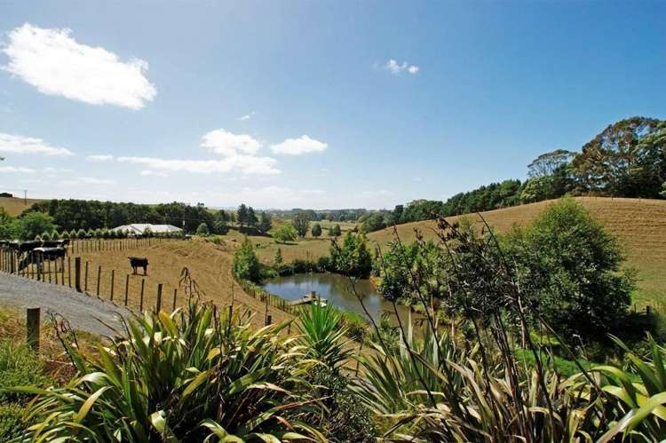 35 Taitua Road Temple View_19