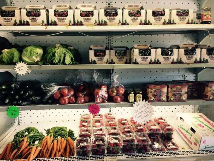 81 Springvale Road Clyde_24