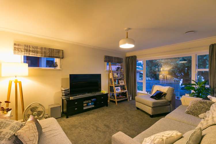 113 Miramar North Road Miramar_14