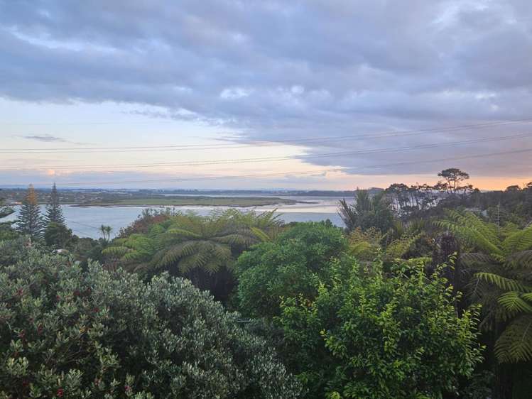 1 Hoskins Avenue Hillsborough_20